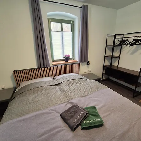 Wellaktiv Apartment Geising