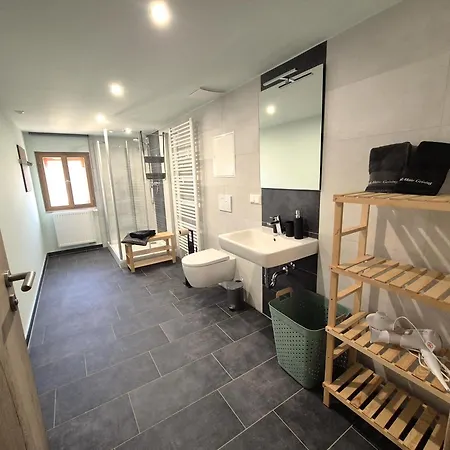 Wellaktiv Apartment Geising