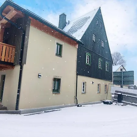 Wellaktiv Apartment Geising