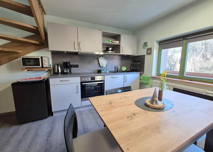 Wellaktiv * Гайзинг