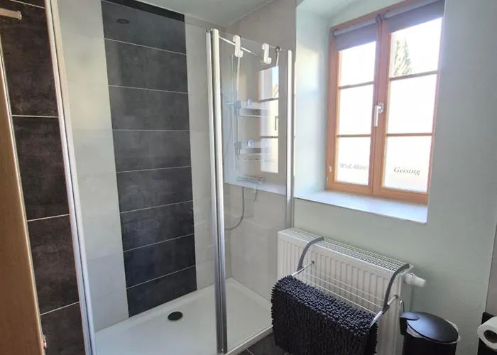 Wellaktiv * Гайзинг