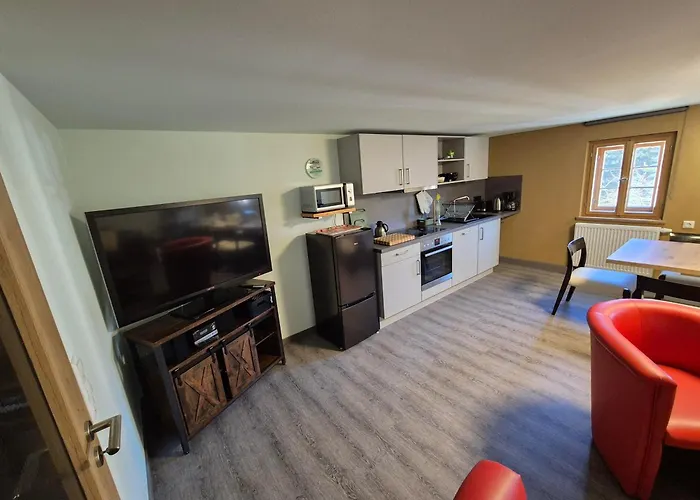 Апартаменты Wellaktiv *