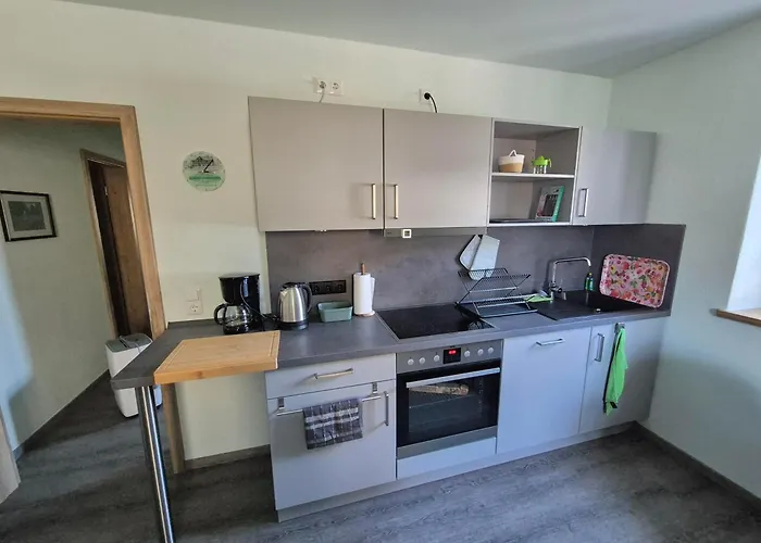 Wellaktiv * Гайзинг