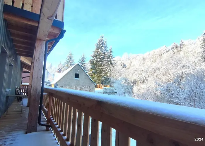 Апартаменты Wellaktiv *