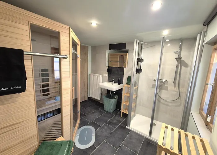 Wellaktiv * Гайзинг